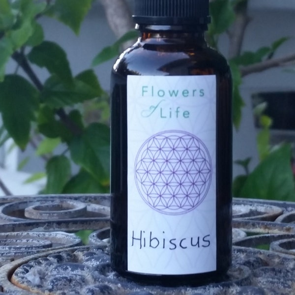 Hibiscus Flower Essence for Safety and Grounding Flowers of Life Organic