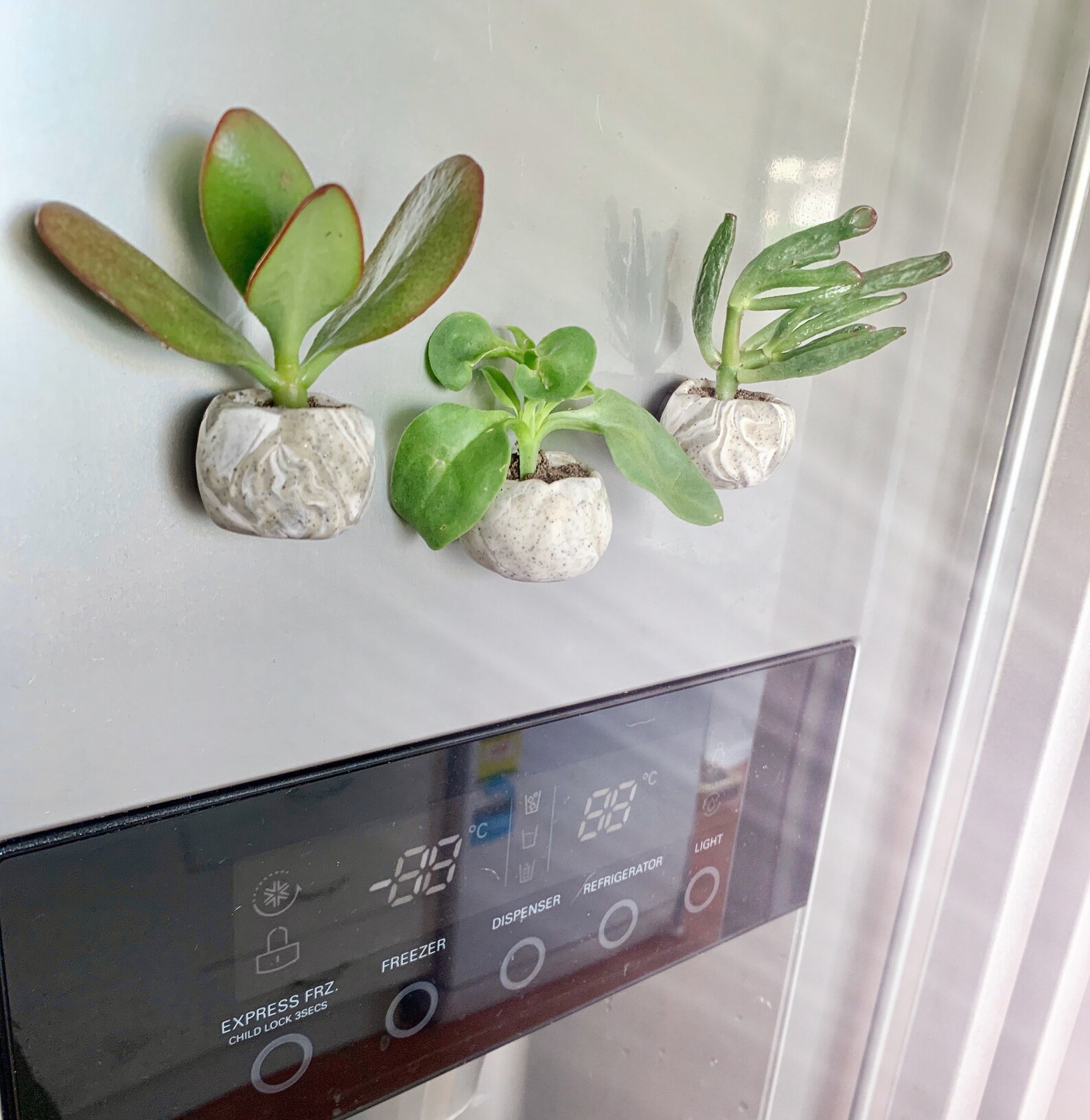 Mini Planters Set of 3 or 6 Fridge Etsy
