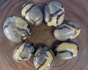 Septarian Palm Stones