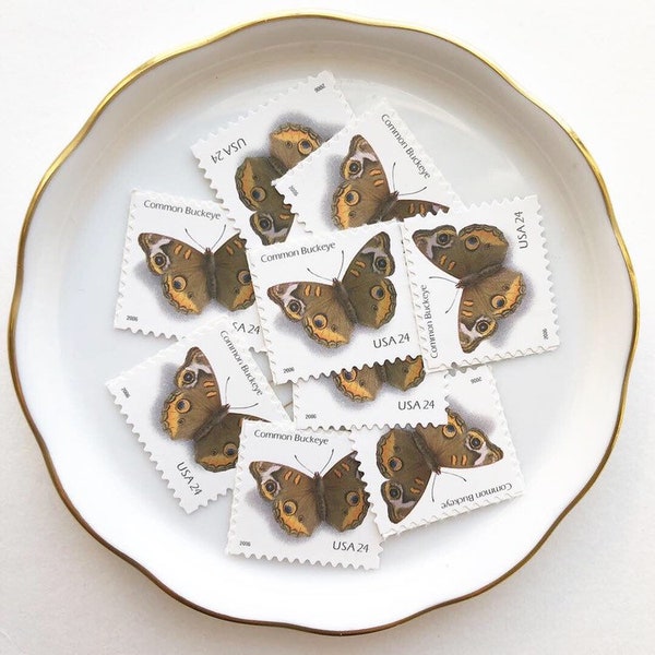 Butterfly unused postage stamps for Wedding Invitations and USPS Mail Letters  // Common Buckeye Butterfly // 2006 // 24 cents // No.