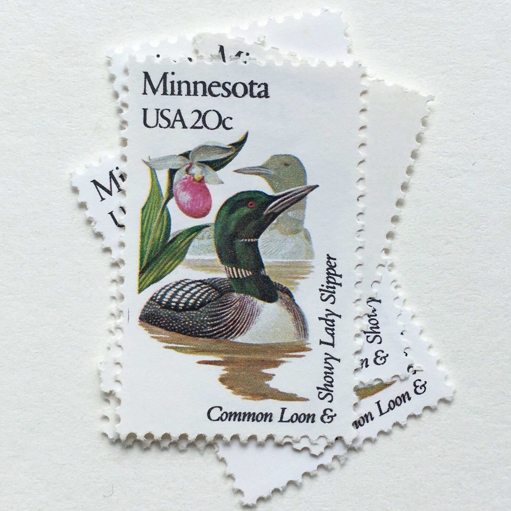 Minnesota Vintage Unused Postage Mail Stamps US // State Birds Etsy UK