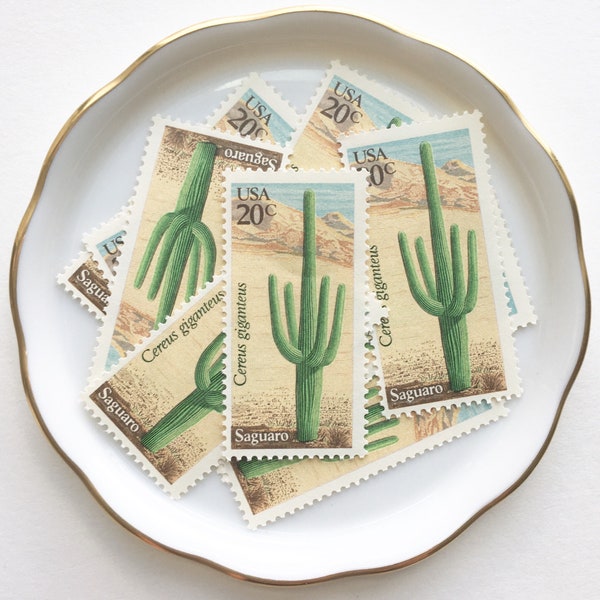 Cactus Postage Stamp for Sn ail Mail Letters, Penpals / Vintage 1980s Unused Stamps for Southwest, Texas green wedding invitations