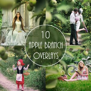 May include: A set of 10 digital overlays featuring apple branches with green leaves and red apples. The overlays are perfect for adding a touch of nature to your photos.