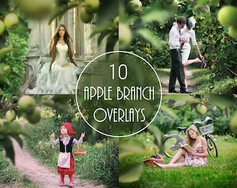 10 Green Apple Tree Branch Overlays, Fruit Branch Photoshop Layer, Shooting Through Tree Foreground Effect for Photographers