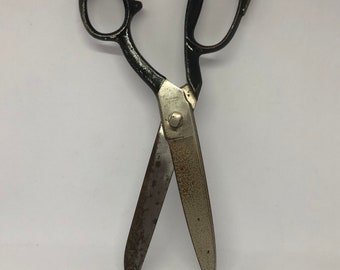 Vintage iron tailor scissors