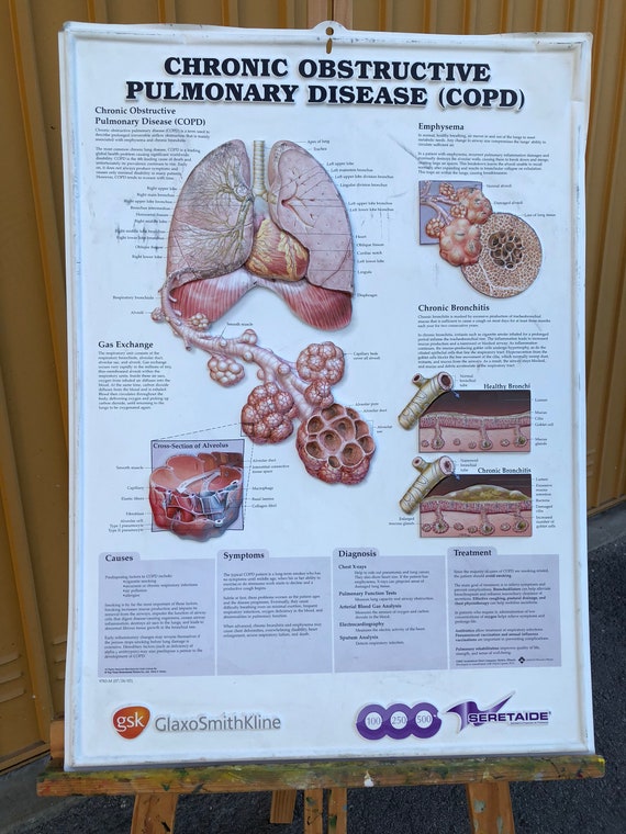 Pulmonary Chart