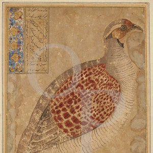 ペルシャの鳥の絵画、ヤマウズラ、ペルシャ、アンティークアートワーク、ヴィンテージ自然壁アート、鳥、中東、野生動物、ファインアートプリント