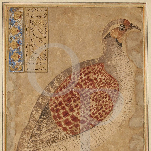 Persian Bird Painting, Partridge, Persia, Antique Artwork, Vintage Nature Wall Art, Birds, Middle Eastern, Wildlife, Fine Art Print