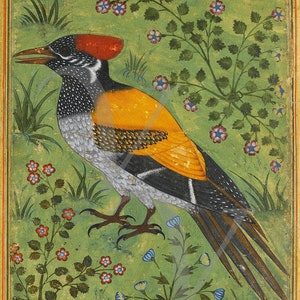 Indian Woodpecker Painting Print, India, Antique Artwork, Mughal, Vintage Exotic Bird Wall Art, Flowers, Birds, Fine Art Print