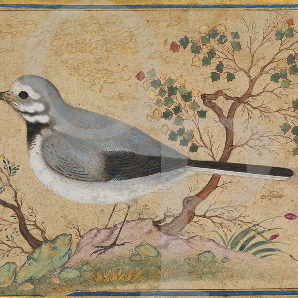 Impression d'art peinture oiseau persan, Perse, oeuvre d'art antique, rossignol, art mural oiseaux vintage, amoureux de la nature, Moyen-Orient, impression d'art