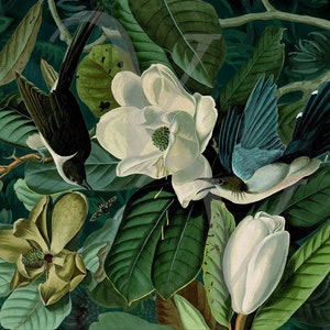 Lush Bird Garden Art Print, Forest, Original Collage, Birds, Flowers, Vintage Botanical, Nature Lover Wall Art, Magnolia, Fine Art Print