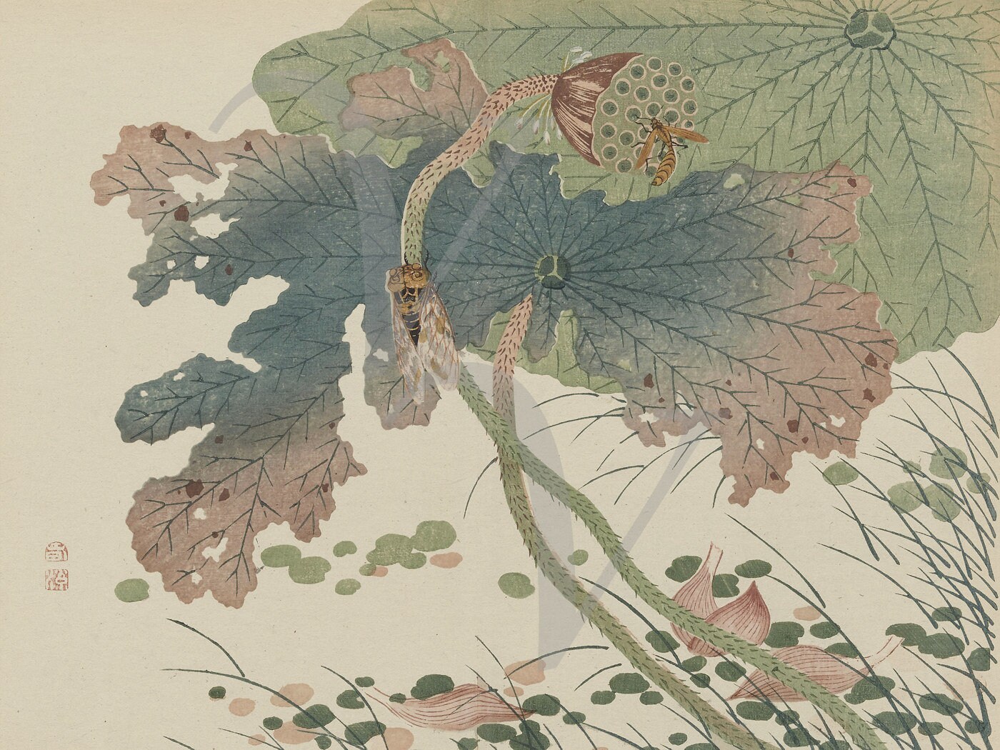 Japanese Nature Art - Etsy