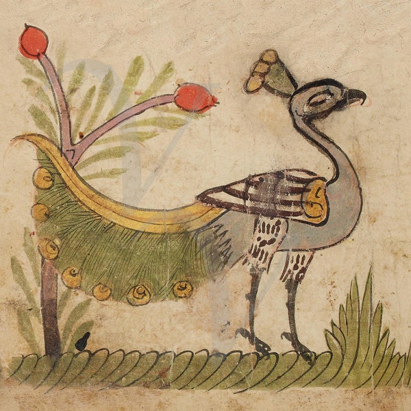 Peacock Painting Art Print, Peacocks, Antique Arabic Artwork, Vintage Bird Wall Art, Birds, Bestiary, Exotic Nature, Fine Art Print