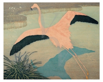 Impression d'art peinture flamant rose, oeuvre d'art ancienne, oiseau, art mural flamant rose vintage, flamants roses, oiseaux, impression d'art