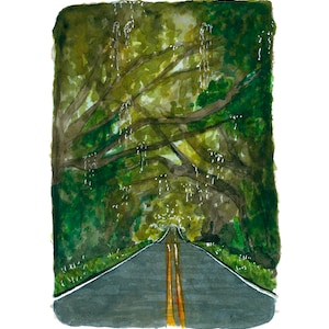 Tallahassee Canopy Road / Tallahassee FL Art Print / North Florida watercolor art / Canopy Road Painting