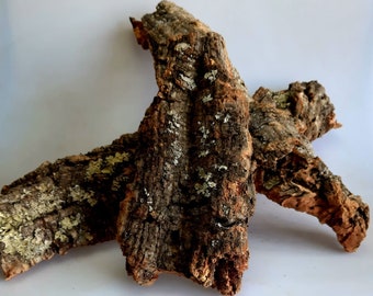 Virgin Natural Cork Bark, for Terrariums, Vivariums, Art, Decor, Crafts, Orchids, Reptiles