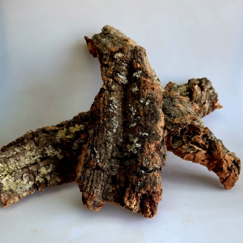 Virgin Natural Cork Bark, for Terrariums, Vivariums, Art, Decor, Crafts