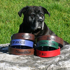 Leather Personalized Dog Collar - Handcrafted Quality Leather Dog Collars 100%  Real Leather - 1.5 inches wide