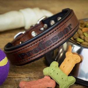May include: A brown leather dog collar with black stitching and the word "Professor" engraved on it. The collar is lying on a wooden surface with a purple dog toy, dog biscuits, and a bowl of dog food.