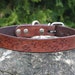 see more listings in the Dog Collars section