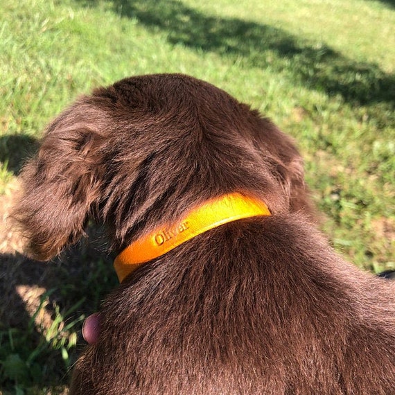 Small Personalized Leather Dog Collar Handcrafted Leather Dog Collars for Tiny Dogs 100 Real Leather Personalized Name Embossed Etsy Canada