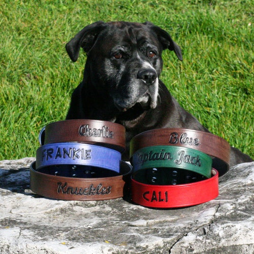 High Quality Handcrafted Leather Dog Collar Canada 100 Real Etsy