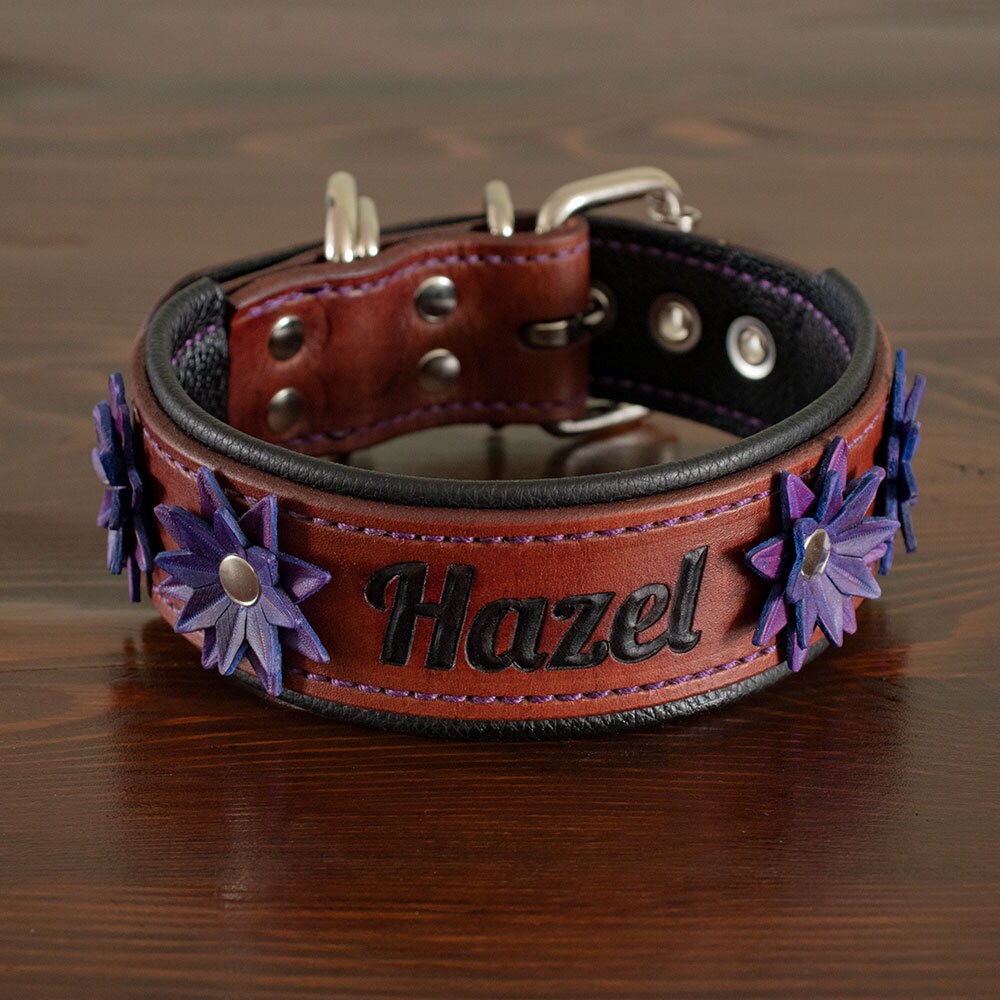 Leather dog 2024 collar with bow