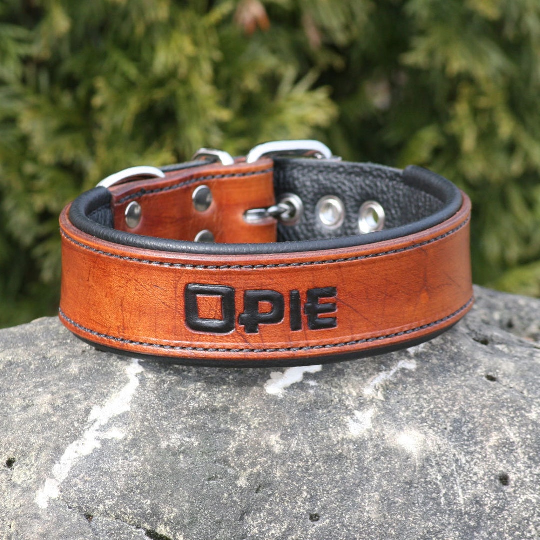 High Quality Leather Dog Collar Personalized With Your Dogs Name 1&1/2