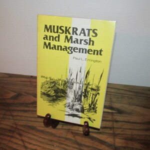 NATURE:  &quot;Muskrats and Marsh Management&quot; by Paul Errington