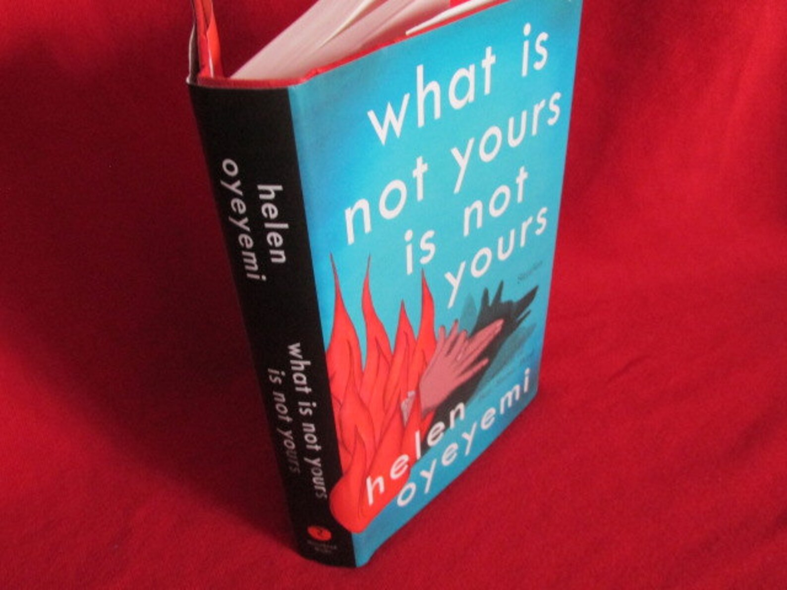 What is Not Yours is Not Yours by Helen Oyeyemi