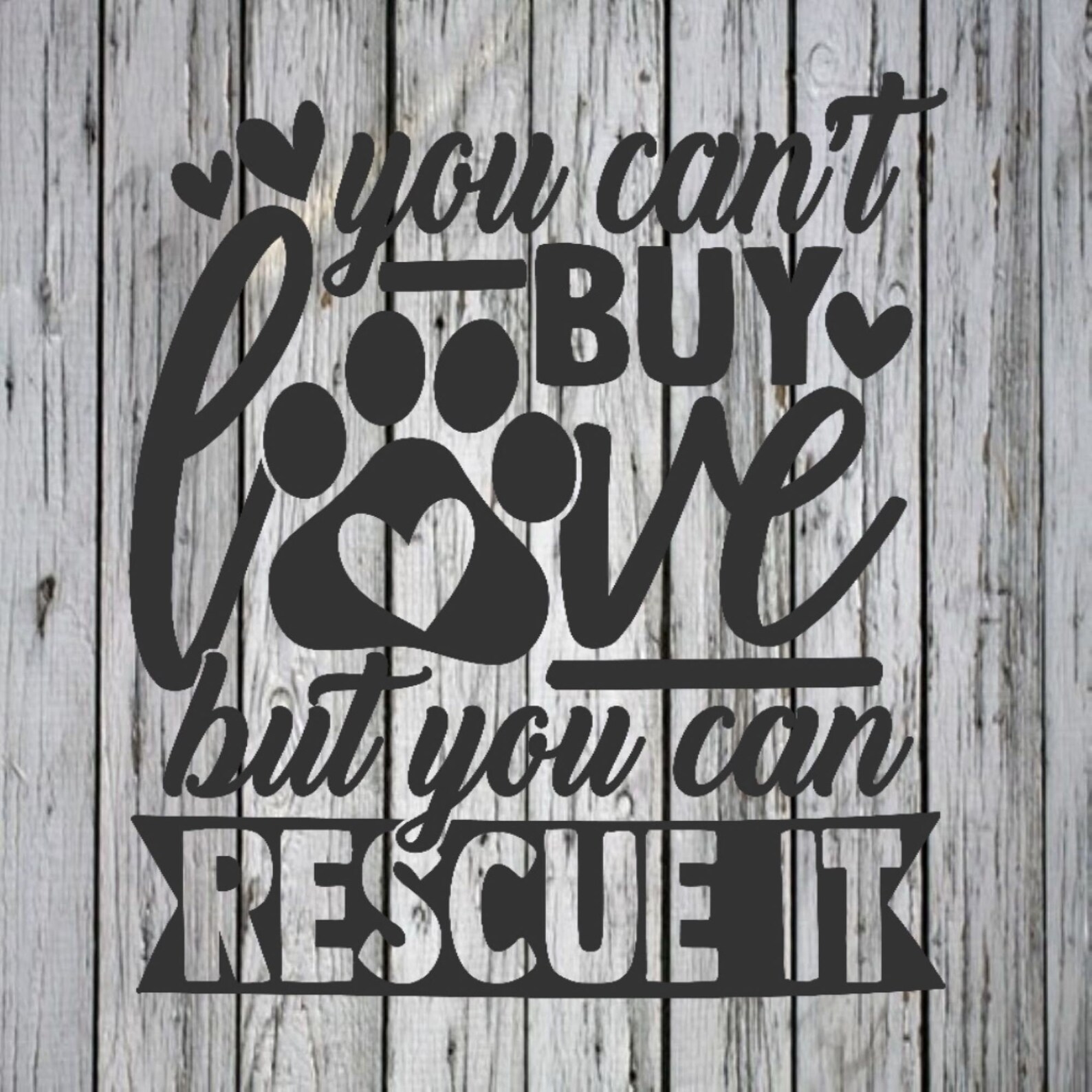 T-shirt Femme "You Can't Buy Love But You Can Rescue It" Avec Chaton - Coton - Tailles S à 3XL