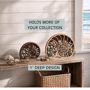 May include: Two nautilus-shaped wooden display cases filled with various seashells and sea glass. The display cases feature a 1-inch deep design and the text "HOLDS MORE OF YOUR COLLECTION" and "1" DEEP DESIGN" is visible in the image.