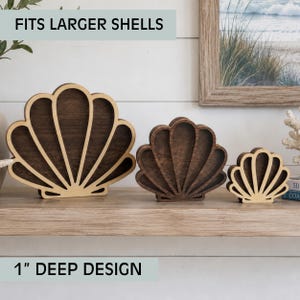 Deep Seashell & Sea Glass Display Box – 1” Depth for Larger Shells – Coastal Shadow Box