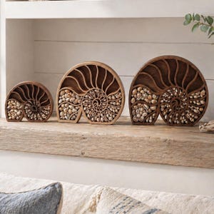 May include: Three wooden nautilus shell sculptures of varying sizes, filled with small seashells. The sculptures are displayed on a wooden shelf, showcasing a natural, coastal theme. The wood has a warm, brown tone, and the shells add a textural contrast.