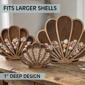 Deep Seashell & Sea Glass Display Box – 1” Depth for Larger Shells – Coastal Shadow Box