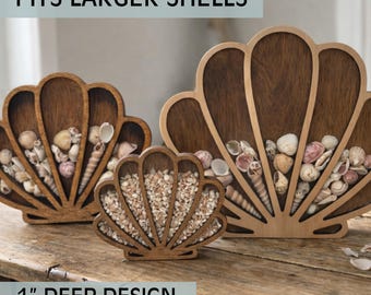 Deep Seashell & Sea Glass Display Box – 1” Depth for Larger Shells – Coastal Shadow Box