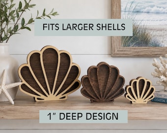 Deep Seashell & Sea Glass Display Box – 1” Depth for Larger Shells – Coastal Shadow Box