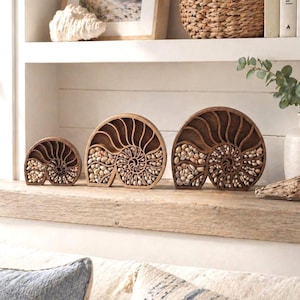 May include: Three nautilus shell-shaped wooden displays of varying sizes, each featuring a dark brown finish and internal compartments filled with an assortment of small, light-colored natural seashells arranged within the spiral structure.