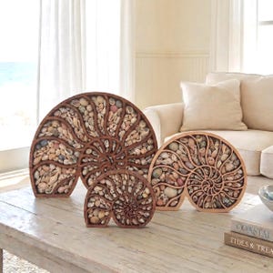 May include: Four decorative wooden nautilus shell sculptures filled with various seashells. The sculptures are in different sizes and shades of brown. The shells are beige, tan, and brown. The sculptures are on a light-colored wooden table.