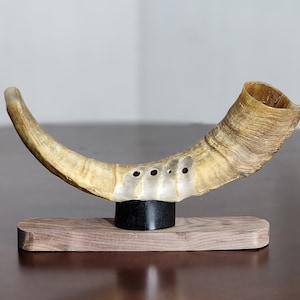 Bukkehorn / Authentic Goat Horn / Viking Norwegian Horn Instrument / Prillarhorn