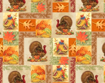 Thanksgiving weekend events colorado springs