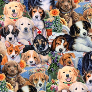 May include: A colorful illustration featuring a variety of adorable puppies in different poses. The puppies are surrounded by flowers and greenery, creating a whimsical and playful scene.
