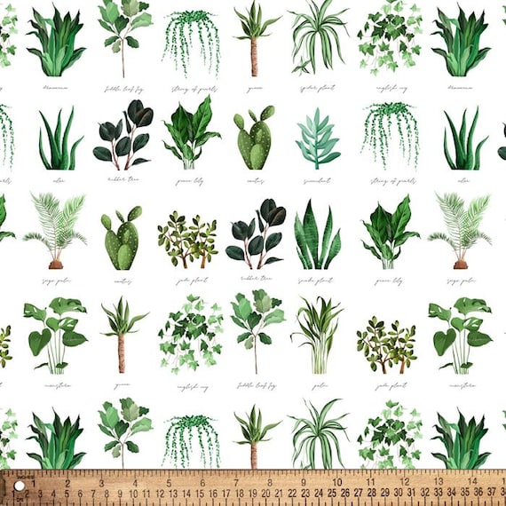 Plants Cotton Fabric By the Yard