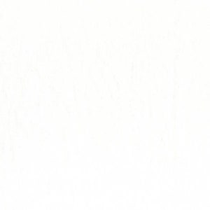 May include: A plain white background.