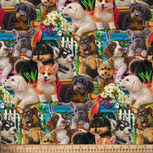 Puppy Dogs Play Cotton Fabric By The Yard
