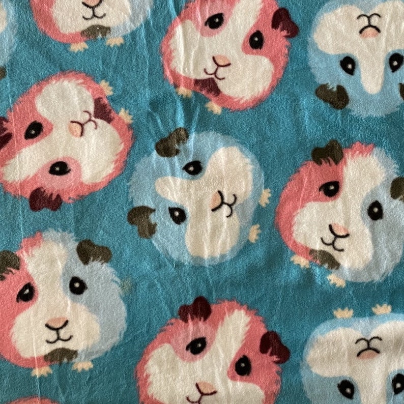 Guinea Pigs Blue Premium Antipill Fleece Fabric No Sew Throw Etsy