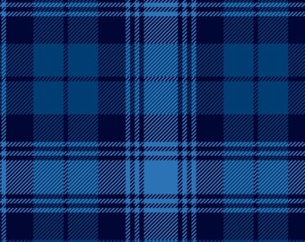 Plush Fabric Polyester 13 Oz 58-60 338813P/_CLASSIC PLAID Classic Plaid Anti-Pill Polar Fleece