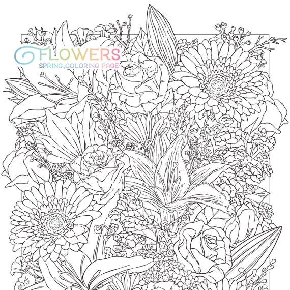 Adult Color By Number Flower: Garden Patterns and Botanical Floral