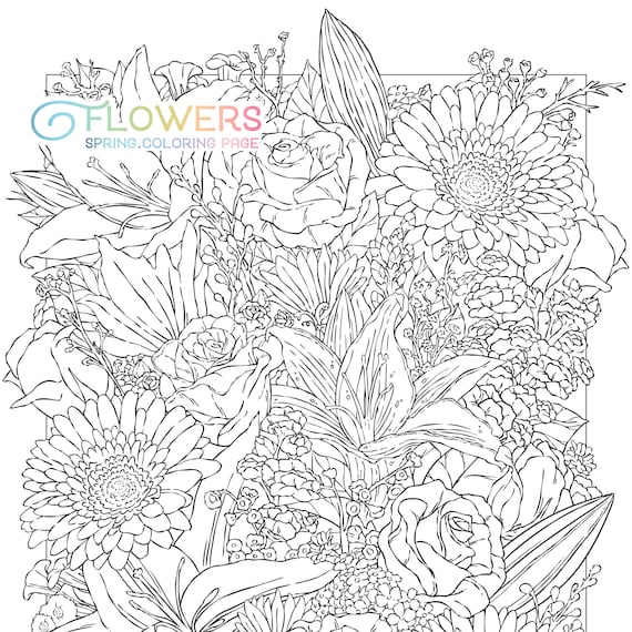 BEST VALUE 50 Beautiful Flowers Coloring Pages Instant Download Coloring  Book for Adults Flower Coloring Book Spring Coloring Page Large 