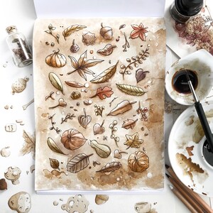 K&ouml;nnte beinhalten: Aquarell-Illustration von Herbstbl&auml;ttern, Eicheln und anderen Herbstlaub auf braunem Hintergrund. Die Illustration ist von Kaffeeflecken umgeben.